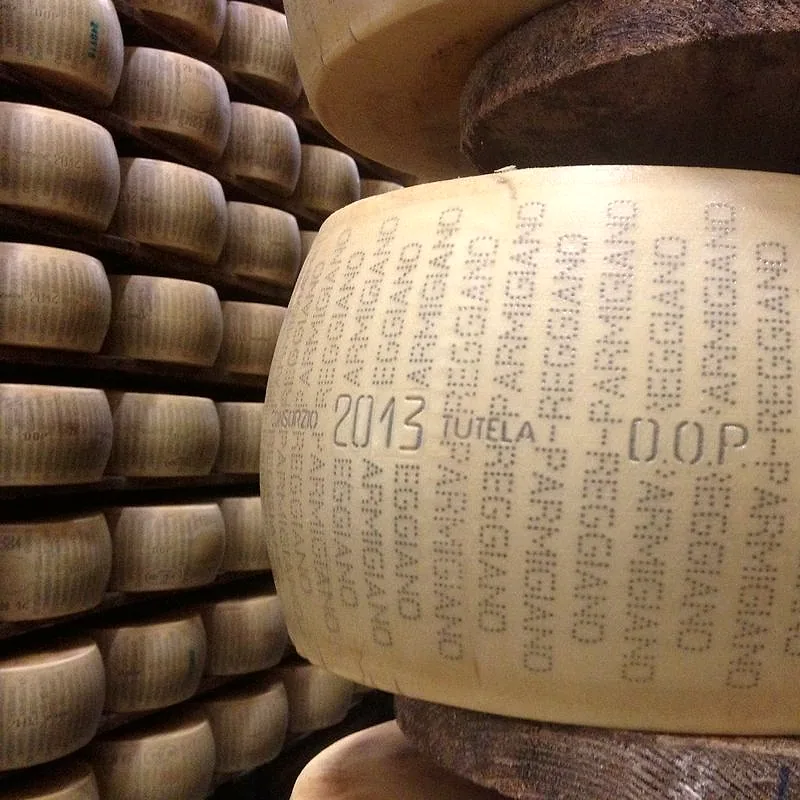 A wheel of Parmigiano-Reggiano on its side against a stack of others, the pin-dotted rind lettering visible