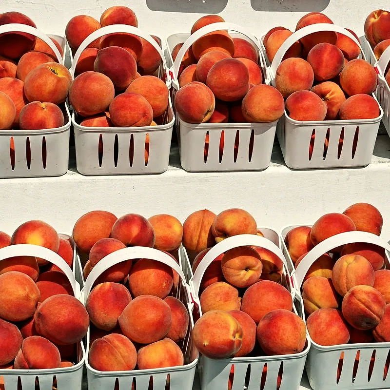 Ripe fuzzy peaches piled in market baskets