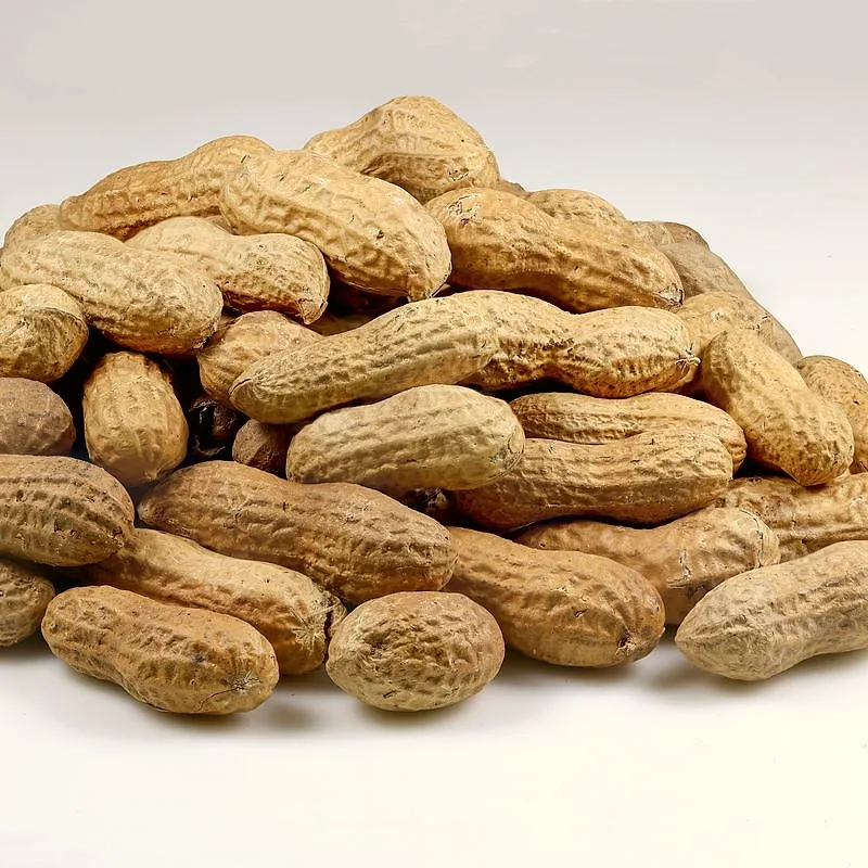 A heap of roasted peanuts still in their pale ridged shells