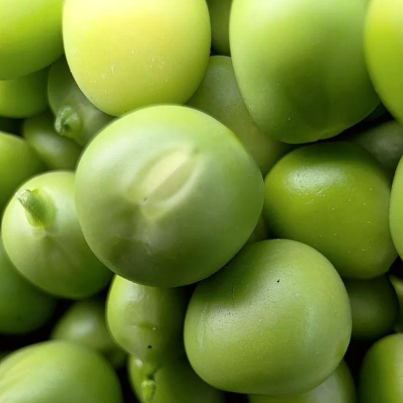 A close view of fresh shelled green peas
