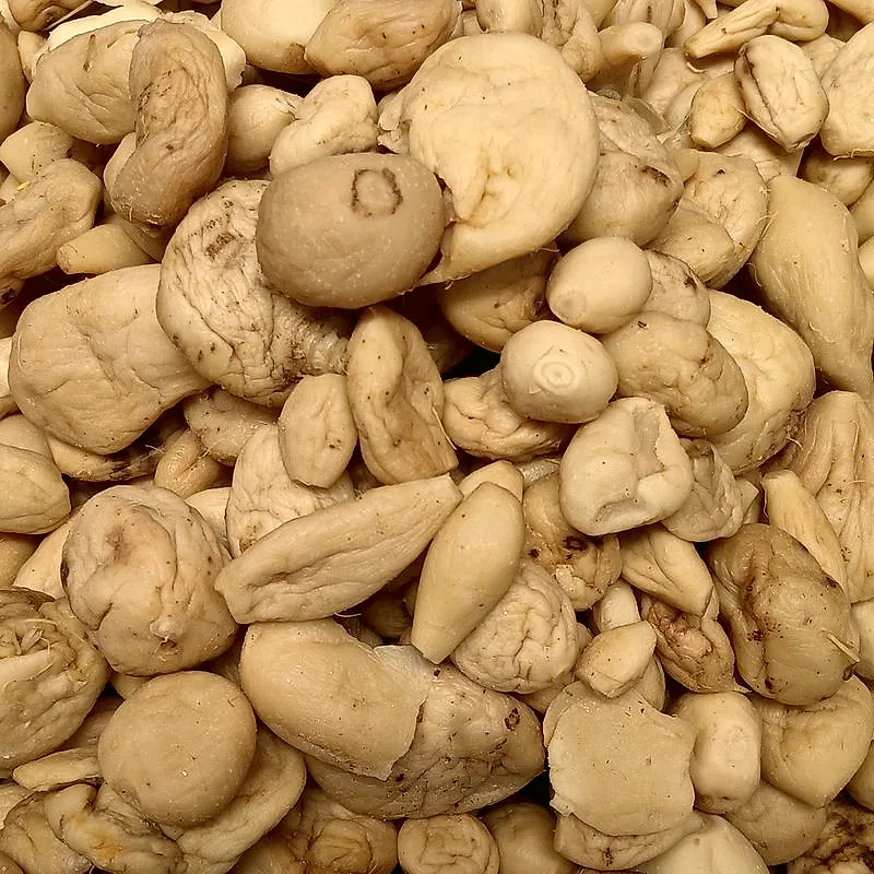 A mass of pale knobbly pieces of salted, dried radish