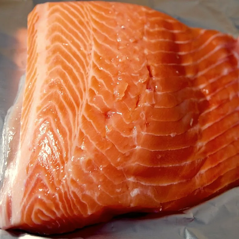 A raw salmon fillet, skin side down