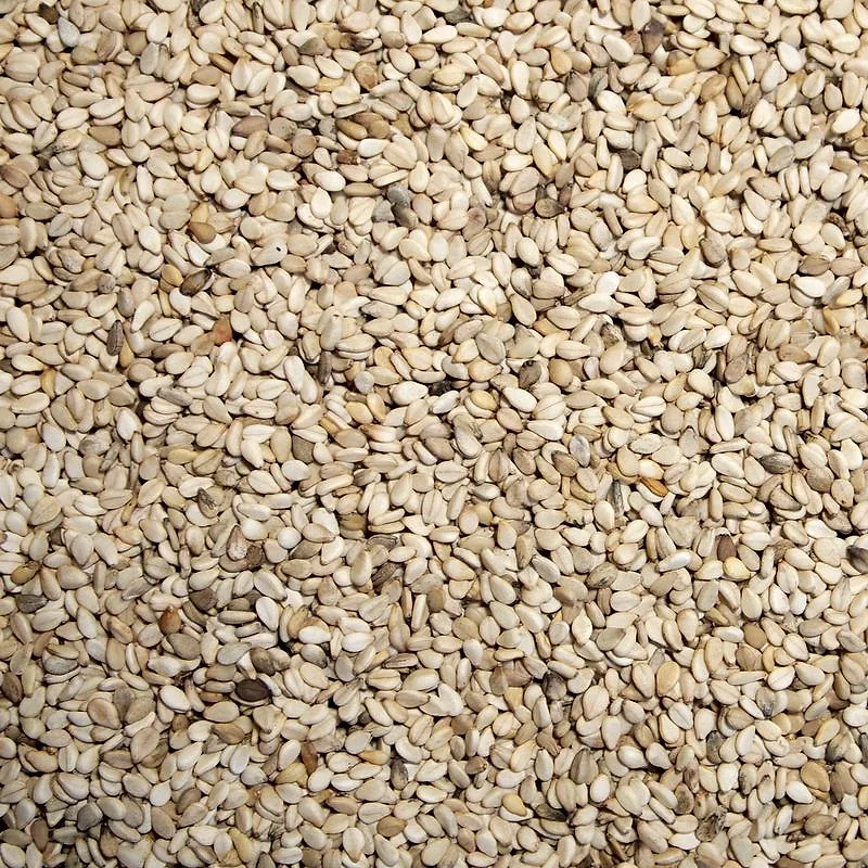 A close-up spread of pale sesame seeds