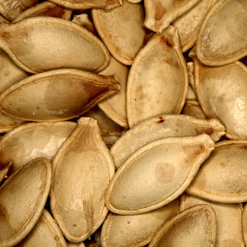 A close-up of pale tan pumpkin and squash seeds in their husks