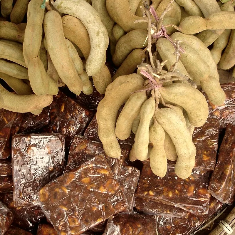 Tamarind pods above pressed blocks of dark seedless pulp