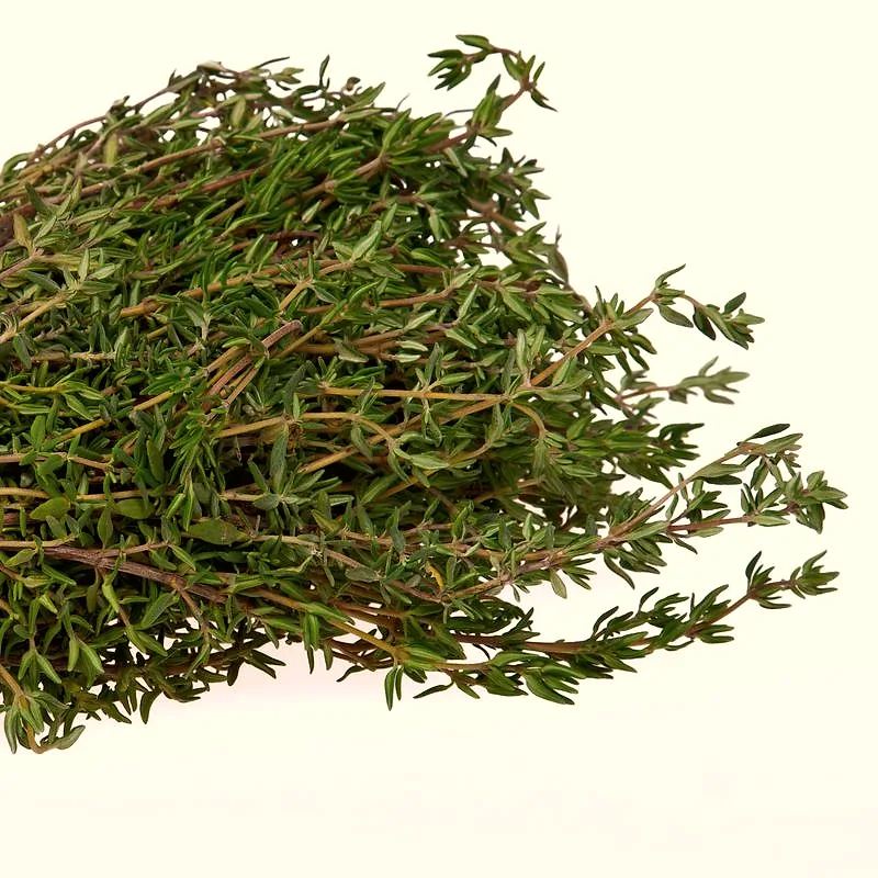 A bundle of fresh thyme sprigs with small green leaves on woody stems
