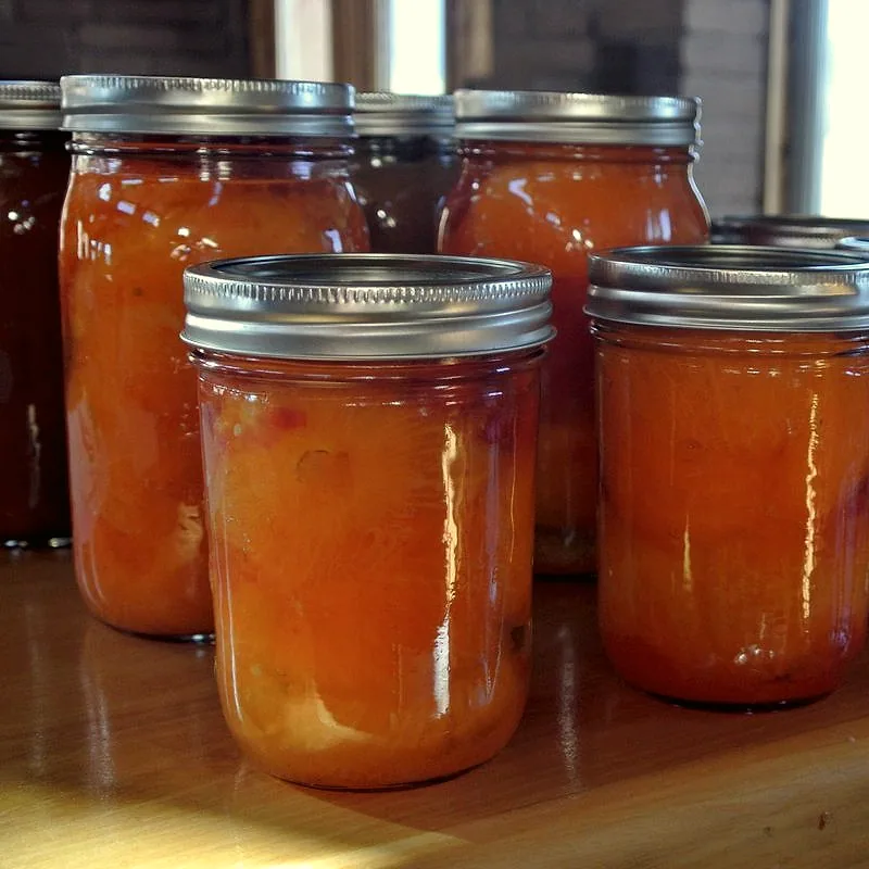 Sealed jars of preserved whole tomatoes in their juice