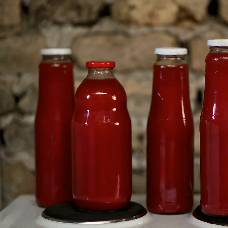 Glass bottles filled with thick red tomato purée