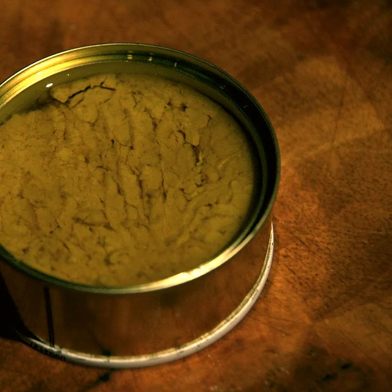 An open tin of tuna showing the packed fish, no label visible