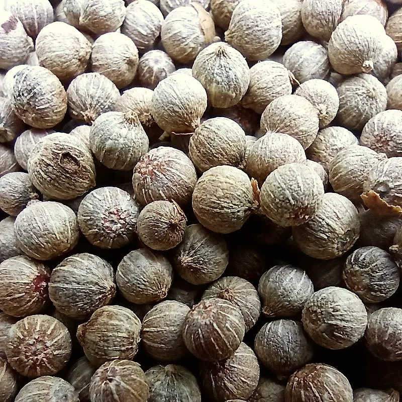 Whole white peppercorns