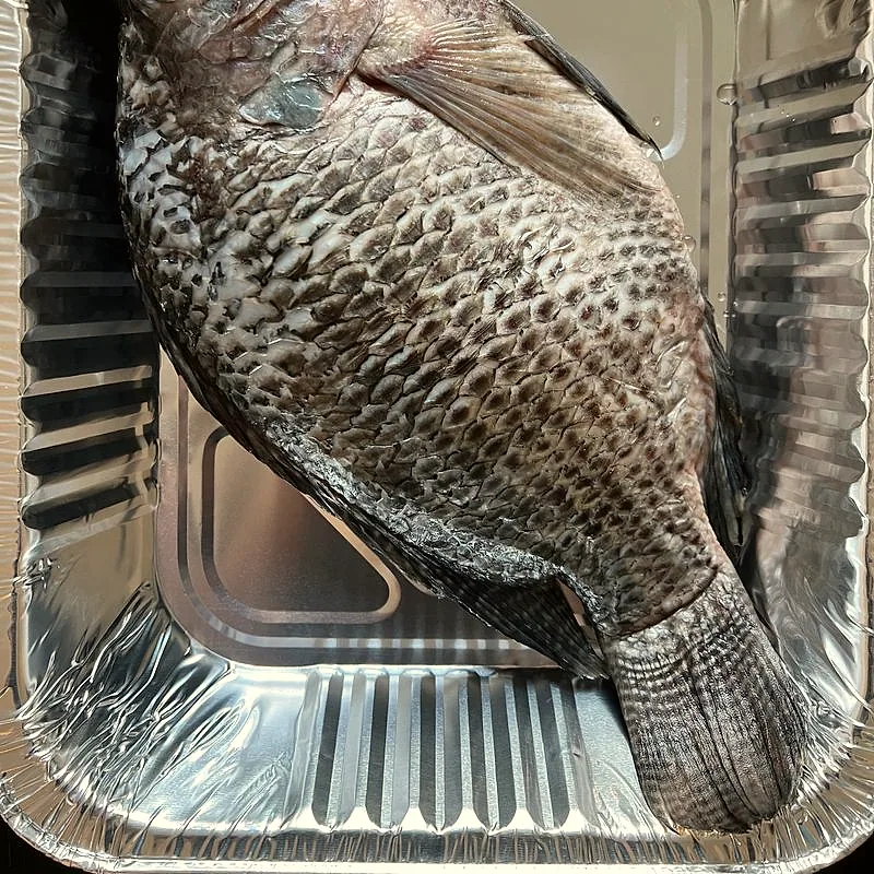 A whole raw tilapia fish with scaled grey-brown skin, lying in a foil tray