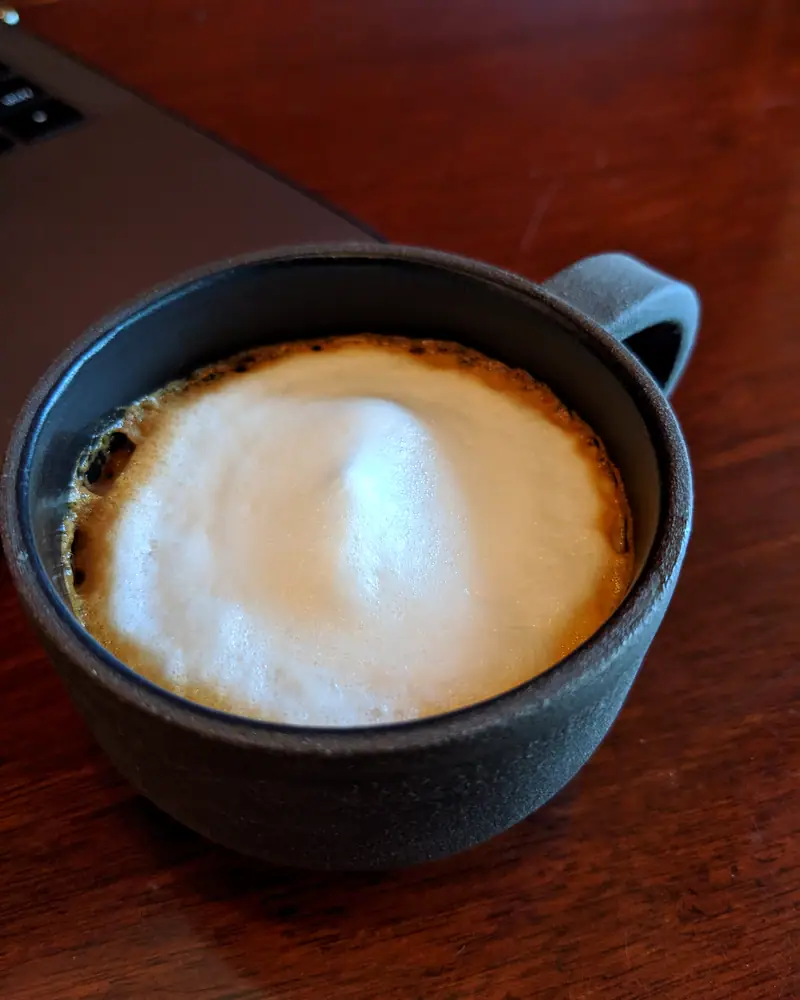 A cappuccino with thick pale foam, in a dark ceramic cup