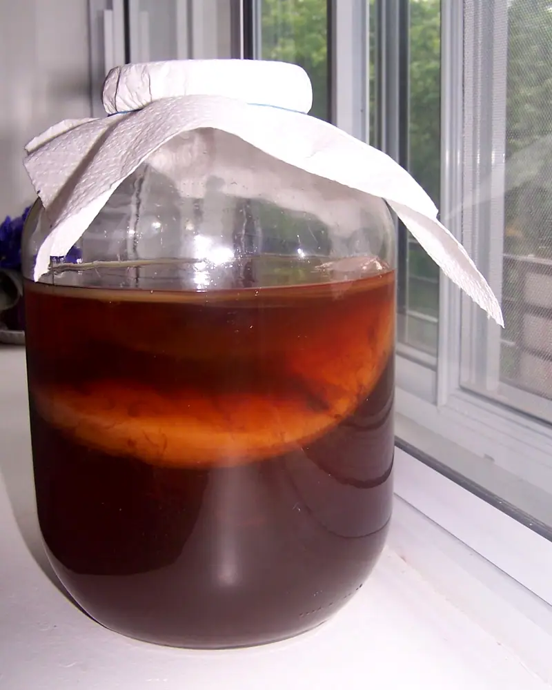A jar of dark amber kombucha with a SCOBY layer floating in it, covered with a paper towel