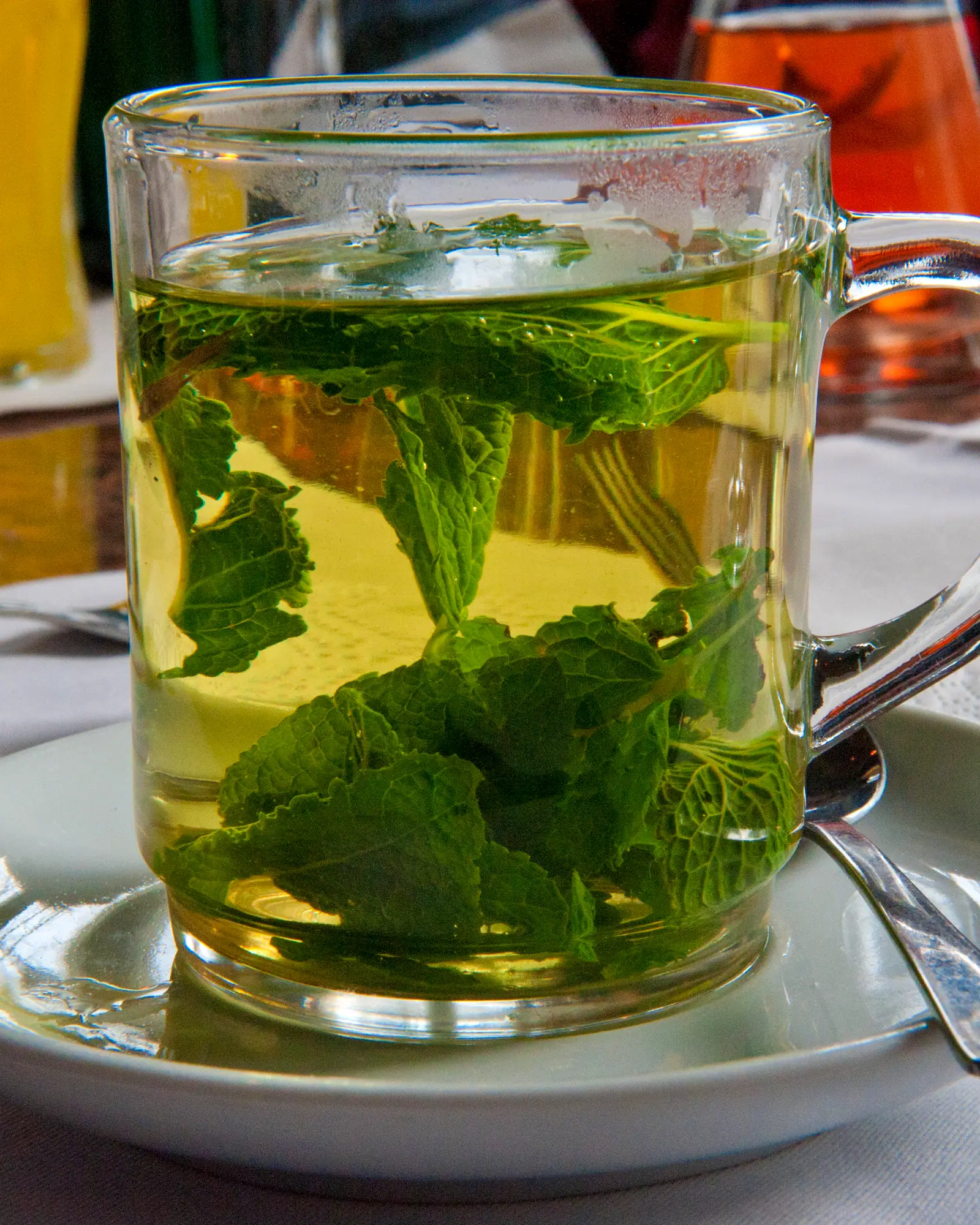 A glass cup of peppermint tea with mint leaves floating in it, pale green-gold
