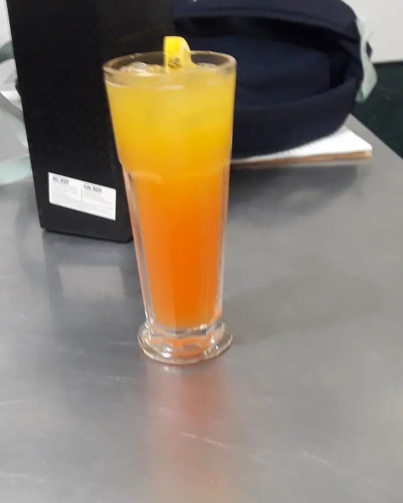 A Tequila Sunrise in a tall glass, showing its sunrise gradient from golden orange juice at the top down to red grenadine settled at the bottom