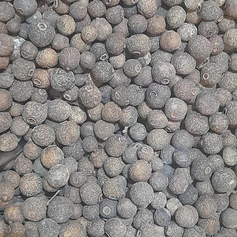 A close-up pile of dried allspice berries, small rough-skinned brown-grey spheres
