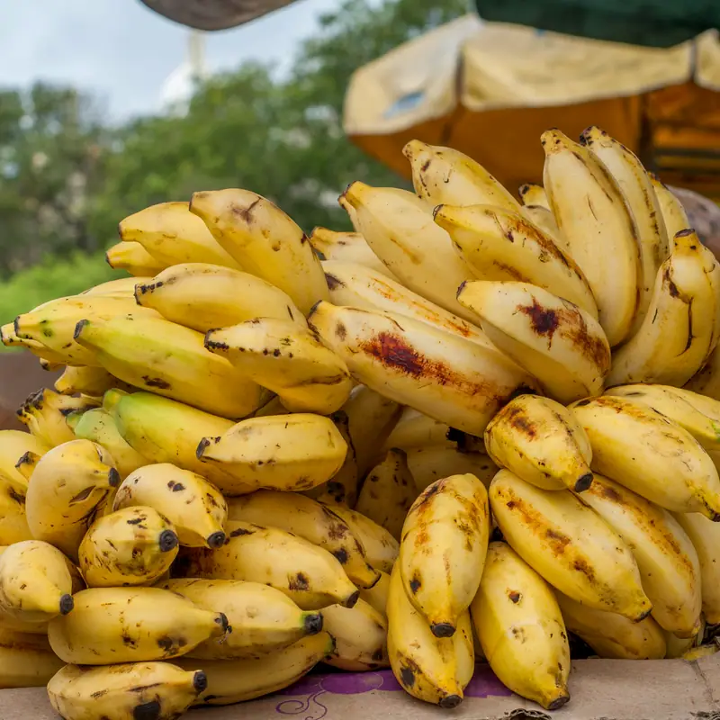 A hanging bunch of ripe yellow bananas at a market stall