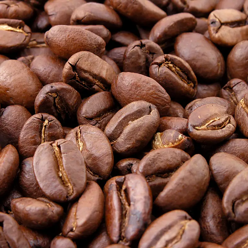 A close view of whole roasted coffee beans, dark brown and glossy, each showing its centre crease