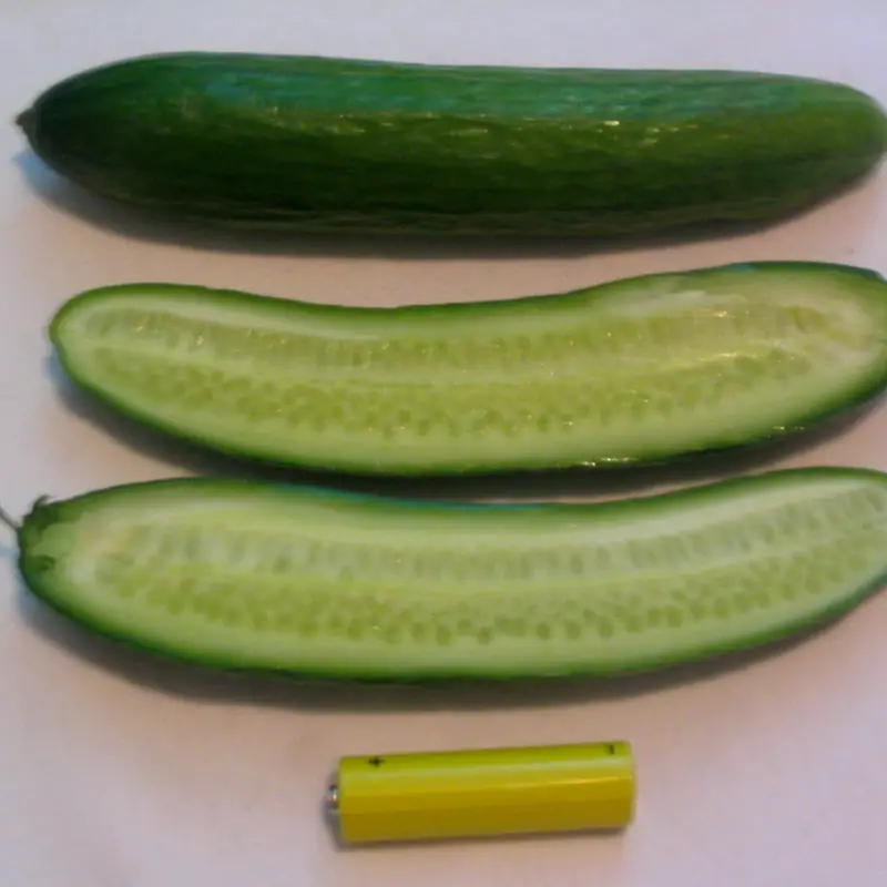 A whole cucumber and two halves sliced lengthwise, showing the pale seeded flesh
