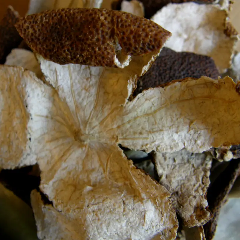 Close-up of aged dried tangerine peel pieces, curled with a brown exterior and pale pith