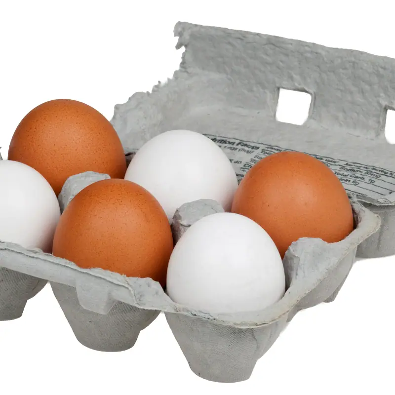 Six chicken eggs, three brown and three white, in an open moulded pulp carton