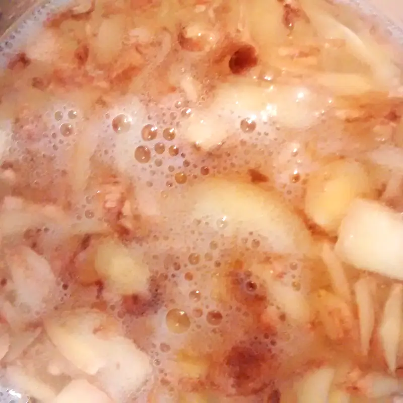 A close-up of a bubbling ginger bug fermentation culture, cloudy liquid with ginger pieces