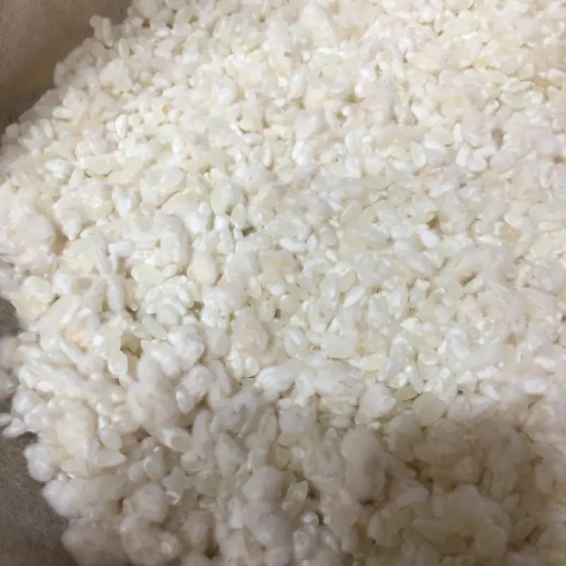 A close-up of rice grains inoculated with white koji mold
