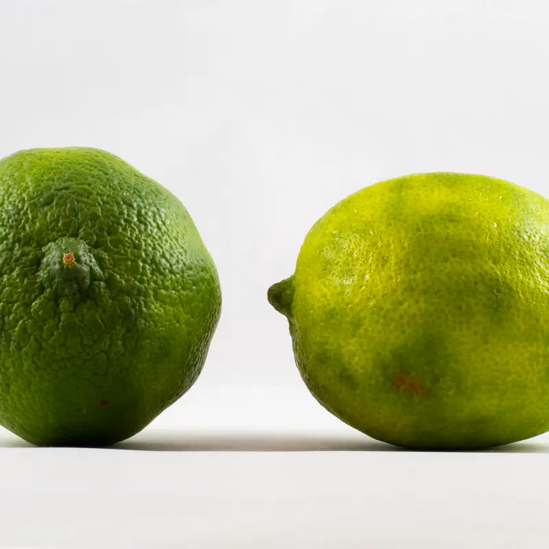 Two whole limes side by side against a plain background
