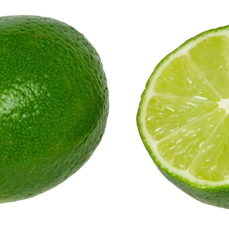 A lime cut in half on a white ground, the pale green flesh and its segments facing the camera