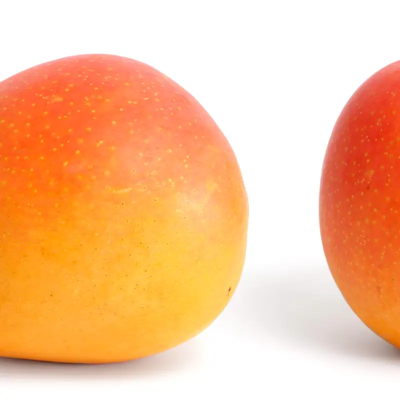 Two whole ripe mangoes with red-orange skin against a grey background