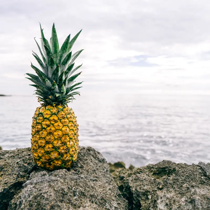 A single ripe whole pineapple with its spiky green crown, standing upright on a rock with the sea and sky blurred behind it