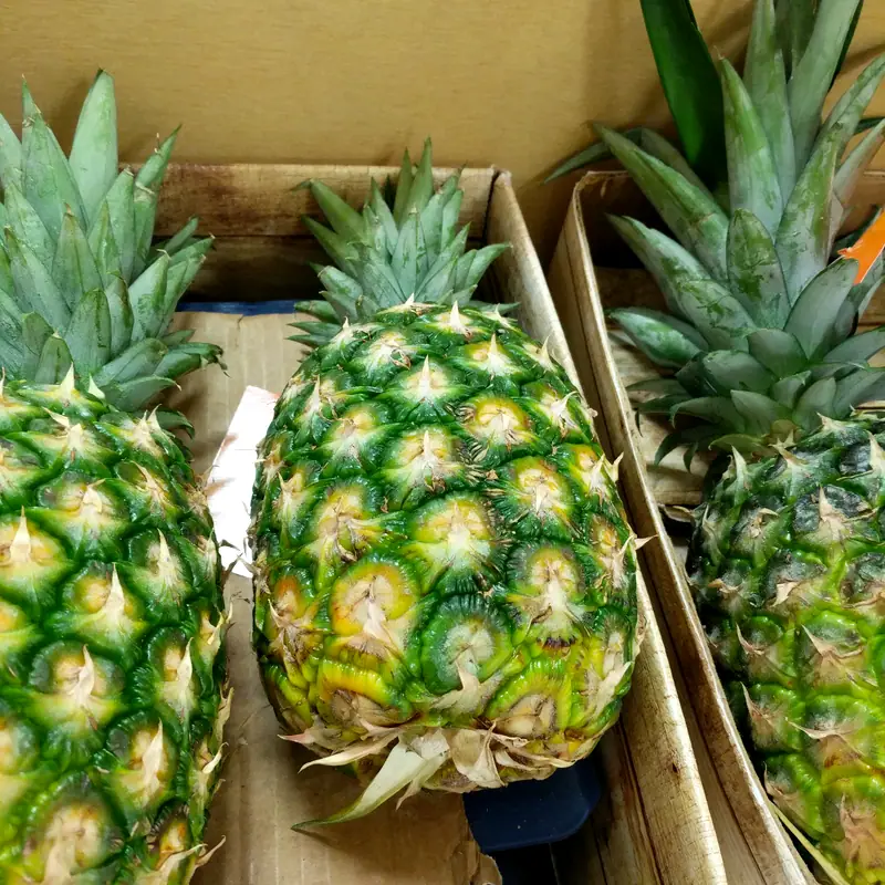 A whole pineapple with its spiky green crown, among others in a crate