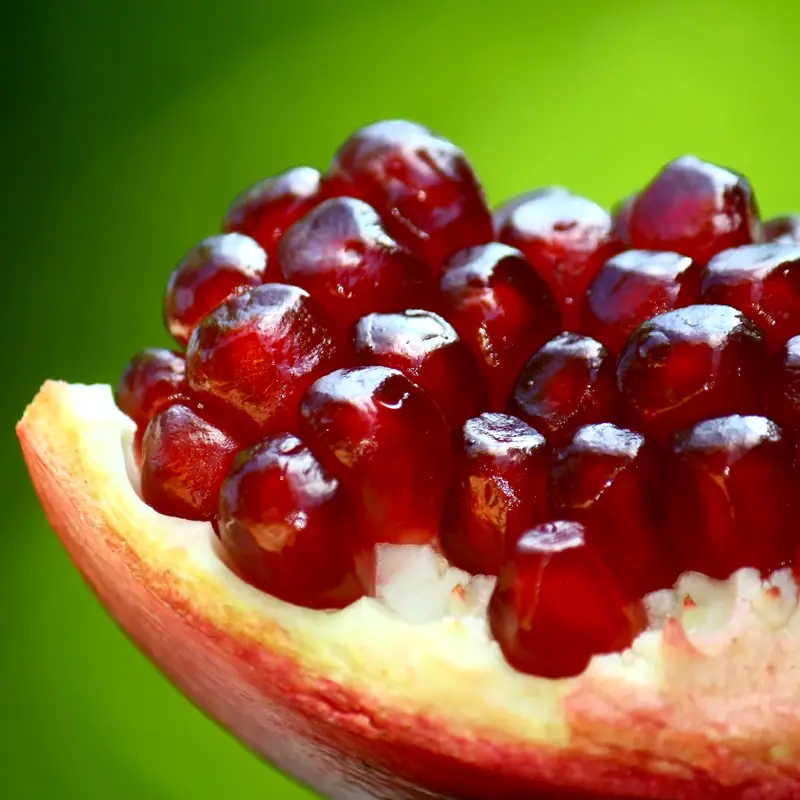 A pomegranate broken open against a green ground, its garnet seeds packed in pale pith