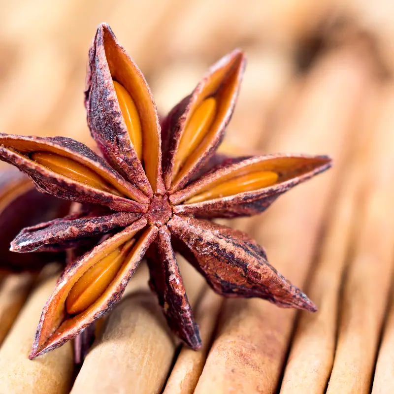 Close-up of a single star anise pod, its points open to show the seeds