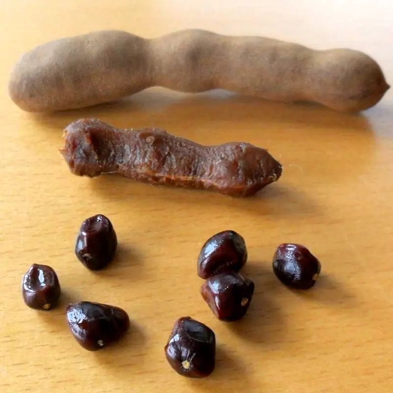 A tamarind pod split open showing the sticky brown pulp and dark seeds