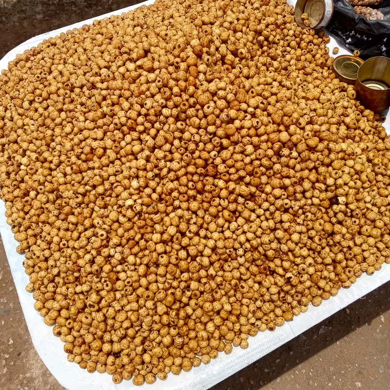 A large pile of dried tiger nut tubers, small wrinkled golden-brown nubs