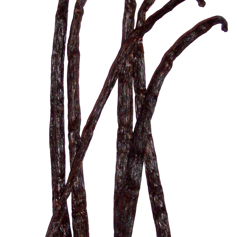 Several dark, dried vanilla pods laid across each other on a plain white background